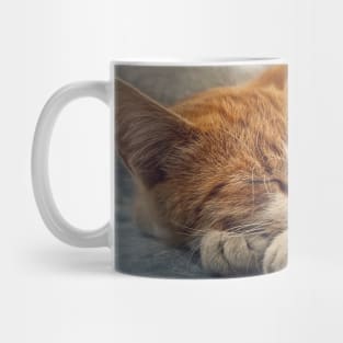 ginger cat resting on a sofa Mug